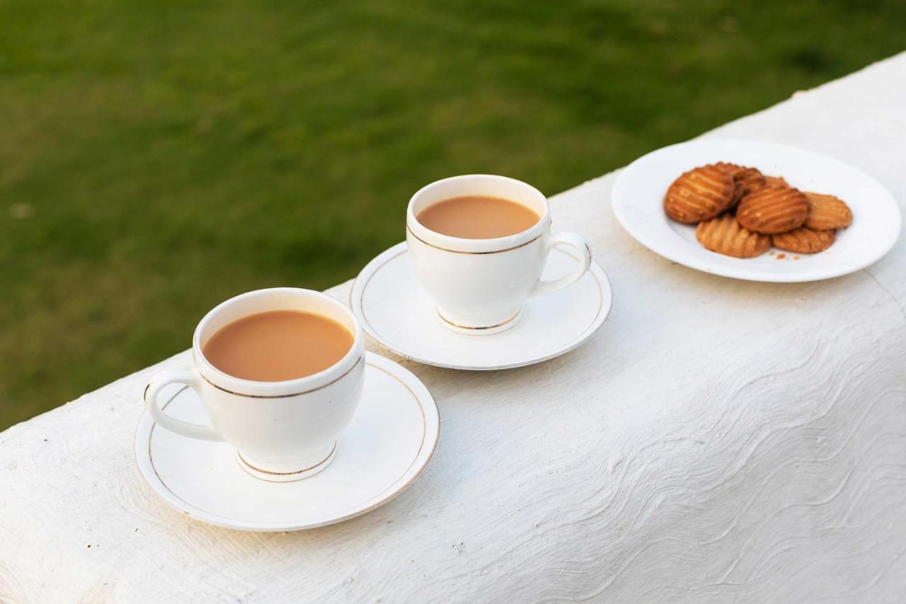 Stayvista At Pink Palace Rajasthani Decor Ooty Buitenkant foto